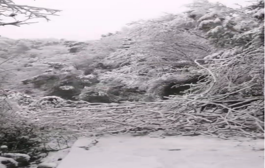 戰(zhàn)暴雪、保供電！湖南發(fā)展鳥(niǎo)兒巢公司應(yīng)對(duì)極端天氣緊急搶修失電故障